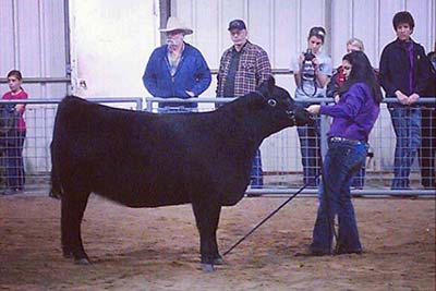 Angie in the show ring